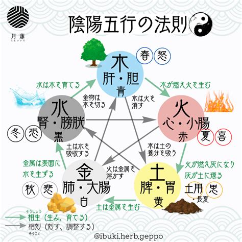 陰陽二氣|陰陽五行